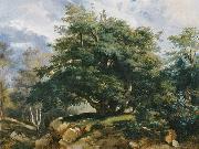 Jules Coignet The Old Oak in the Forest of Fontainebleau Sweden oil painting artist